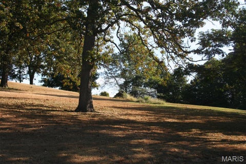 Tiny photo for 14098 Charter Church Road, De Soto, MO 63020 (MLS # 26057414)