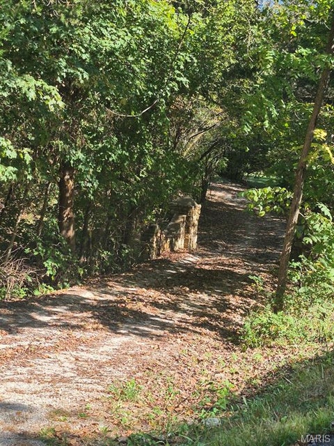 Tiny photo for 14098 Charter Church Road, De Soto, MO 63020 (MLS # 26057414)