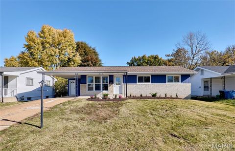 239 Alma Drive Hazelwood MO 63042