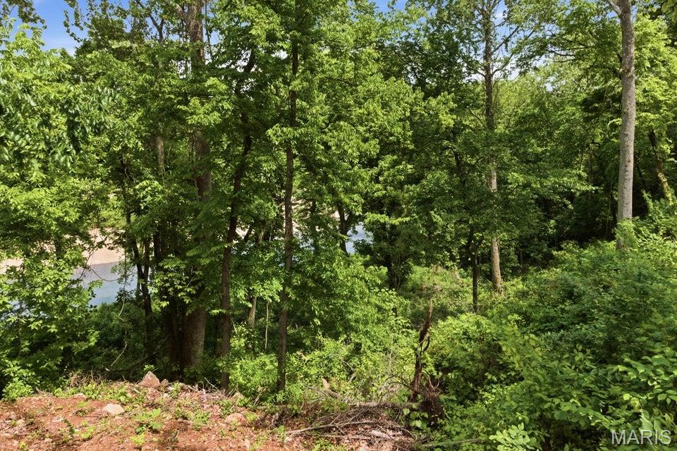 Tract 10 Circle B Road