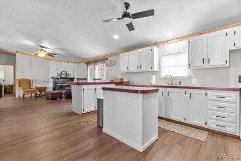 Tiny photo for 160 Wisteria Lane, Troy, MO 63379 (MLS # 26053854)