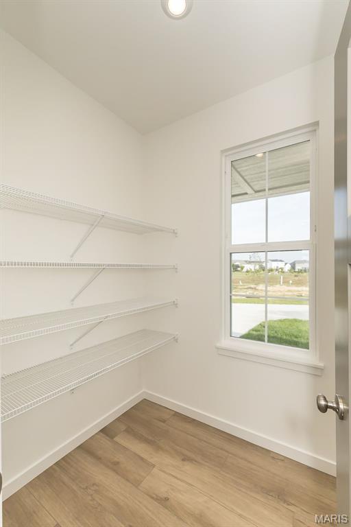 242 Kerry Downs Drive