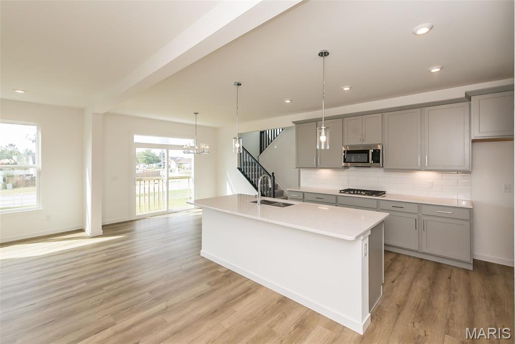 242 Kerry Downs Drive