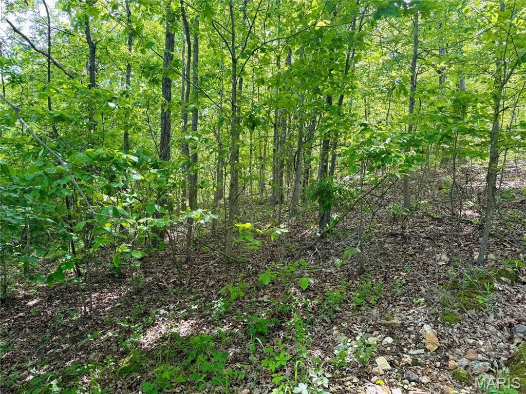 Photo of 0 Pratt Road, Cadet, MO 63630 (MLS # 26026080)