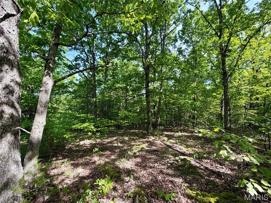 Photo of 0 Pratt Road, Cadet, MO 63630 (MLS # 26026080)