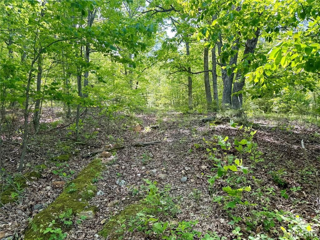 Photo of 0 Pratt Road, Cadet, MO 63630 (MLS # 26026080)