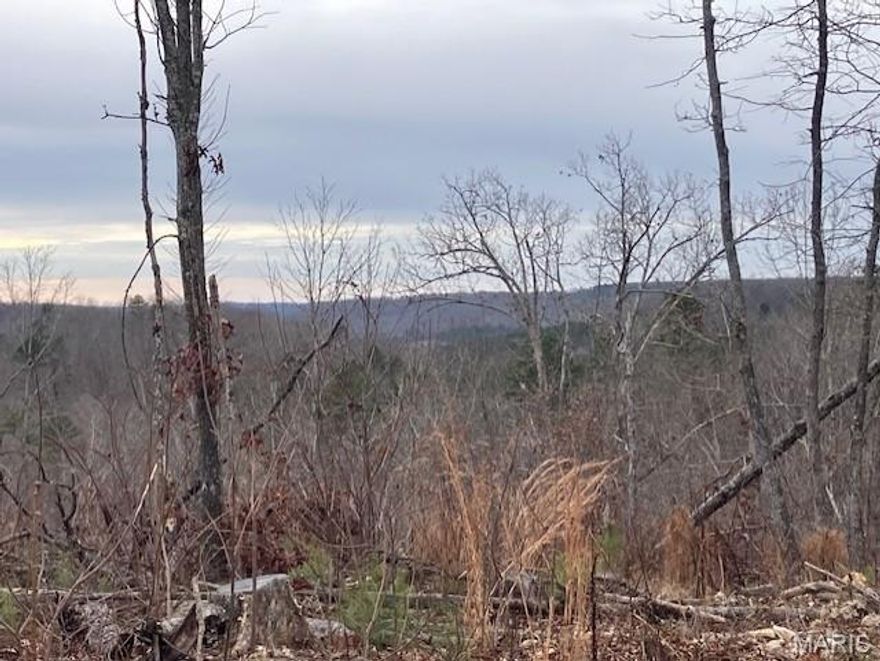 Great hunting with a great view AND access to a shared spring-fed stream, and within a mile of Mark Twain National Forest ... it doesn't get much better. 
This affordable Ozark oasis comes with NO restrictions, and can be had for less than the price of a new truck. And there's a nice deeded easement gravel road leading from the county road to your property.
Hunt, camp, build, ride ATVs on your own land, or fish or play in the shared creek section ... endless opportunities.
This property is wooded and rolling. You are within a mile of the 22,176-acre Mark Twain National Forest ... public ground where you can also hunt, ride and explore. All this, and only about 2 miles by road from U.S. 67.
Use this great 21+ acres as a base camp for adventure. This and surrounding land is teeming with deer, turkey and small game, and the occasional feral hog or maybe a black bear. 
Ownership comes with access to a 3-acre shared stretch of the magnificent 12 Mile Creek and gravel bar.