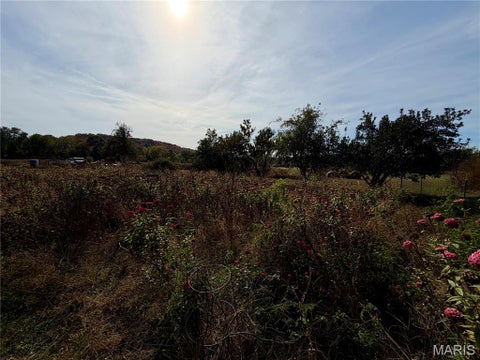 Tiny photo for 12850 Saverton Drive, Saverton, MO 63467 (MLS # 26068535)