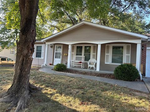 215 Birchleaf Drive St Peters MO 63376
