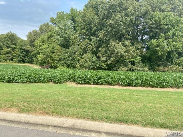 Timber Creek Subdivision - Land