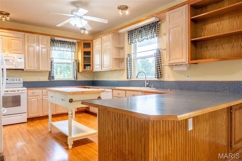 Tiny photo for 20305 Highway M, Curryville, MO 63339 (MLS # 25060471)