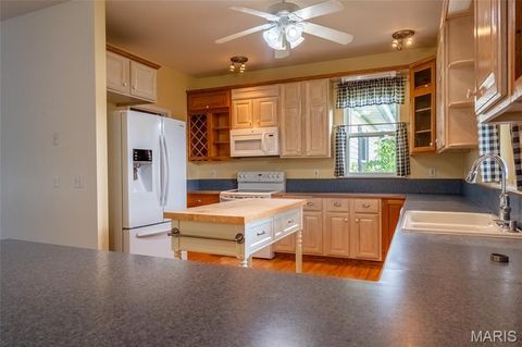 Tiny photo for 20305 Highway M, Curryville, MO 63339 (MLS # 25060471)