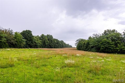 Tiny photo for 20305 Highway M, Curryville, MO 63339 (MLS # 25060471)
