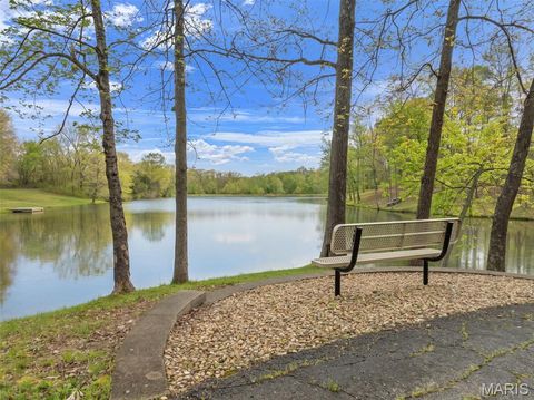 Tiny photo for 653 Ming Lake Drive, Washington, MO 63090 (MLS # 26030085)