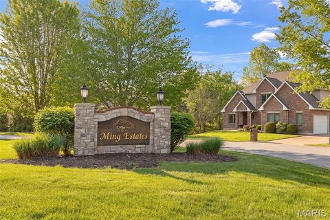 Photo of 653 Ming Lake Drive, Washington, MO 63090 (MLS # 26030085)