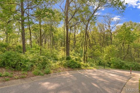 Tiny photo for 653 Ming Lake Drive, Washington, MO 63090 (MLS # 26030085)