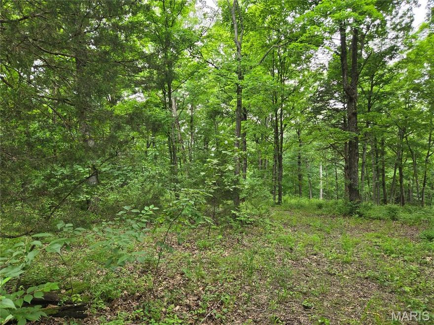 Great wooded site ready for your new home. 2.03 acres, mostly wooded with a gentle slope perfect for a home w/ a walkout basement. There is a primitive road cut to the middle of the property. Could offer great views of the valley below. Come check it out.