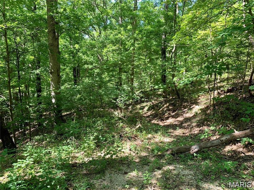 One of 3 Adjoining Lots totaling 3.47 Acres for Sale in Dogwood Acres.  Heavily wooded and perfect for Building your Custom Dream Home or Private Getaway.   Paved Roads.  Nearby Public Utilities.  Easy access to New Hwy 21.  Minutes from Arnold or Fenton. Rock Creek Sewer and Water District (C-1). Property backs to Greenwood Acres. Fox C-6 Schools!