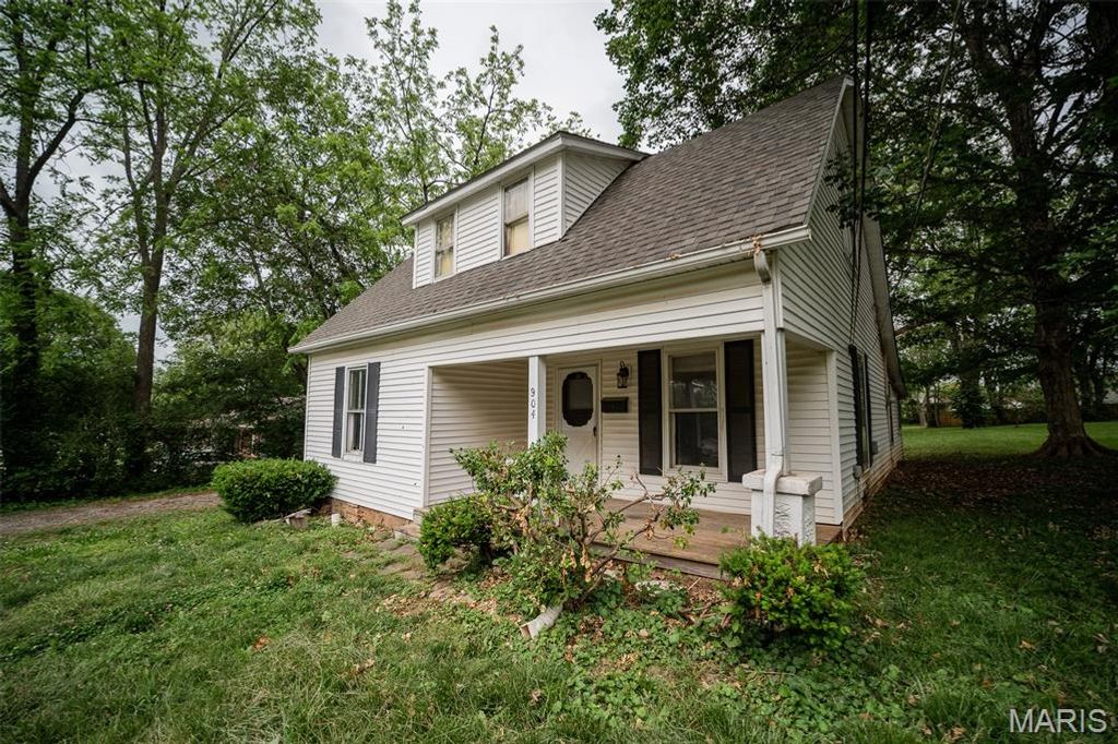 Photo of 904 S Washington Street, Farmington, MO 63640 (MLS # 26031416)