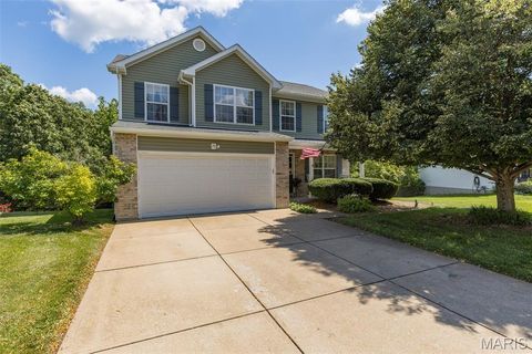 24 Adventura Drive Festus MO 63028