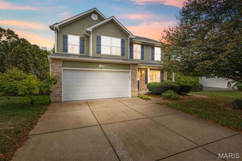 24 Adventura Drive Festus MO 63028
