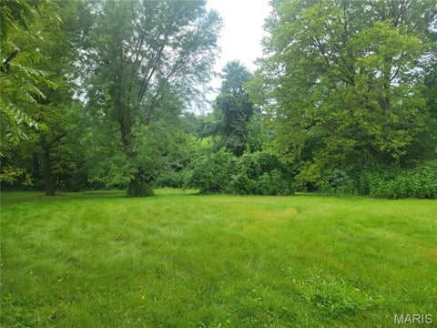 Tiny photo for 411 N 6th Street, Elsberry, MO 63343 (MLS # 26050560)
