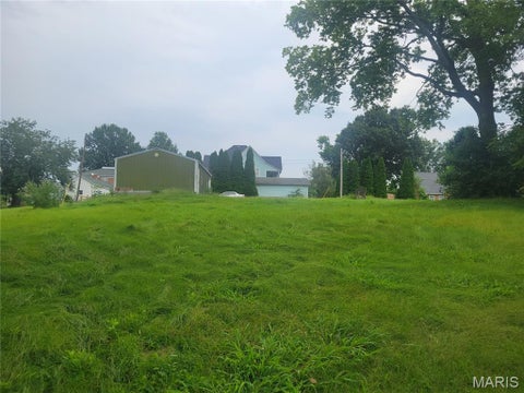 Tiny photo for 411 N 6th Street, Elsberry, MO 63343 (MLS # 26050560)