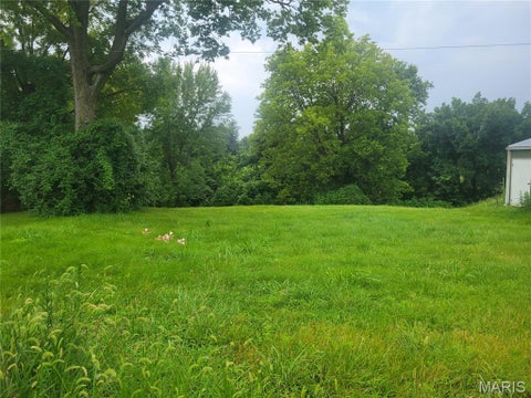 Photo of 411 N 6th Street, Elsberry, MO 63343 (MLS # 26050560)