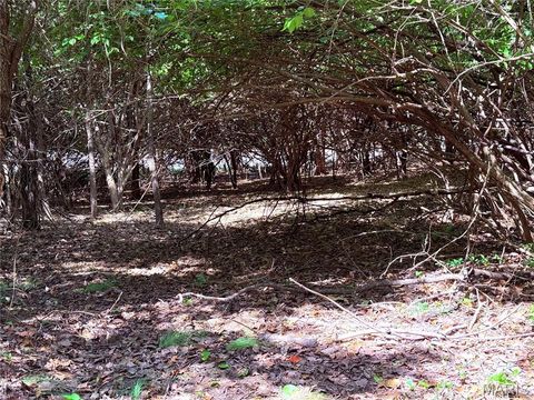 Tiny photo for 17058 Manchester Road, Wildwood, MO 63040 (MLS # 26014709)