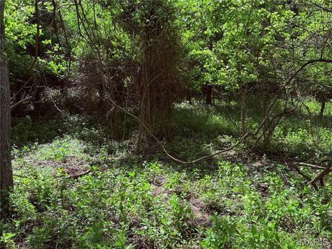 Tiny photo for 17058 Manchester Road, Wildwood, MO 63040 (MLS # 26014709)