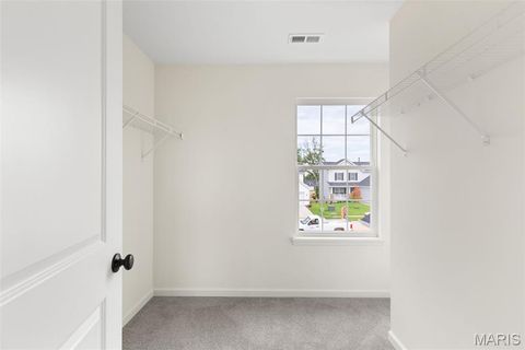 Tiny photo for 119 Day Lily Lane, Wentzville, MO 63385 (MLS # 25051505)