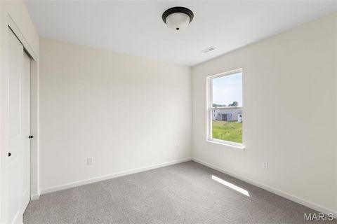 Tiny photo for 119 Day Lily Lane, Wentzville, MO 63385 (MLS # 25051505)