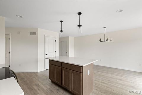 Tiny photo for 119 Day Lily Lane, Wentzville, MO 63385 (MLS # 25051505)