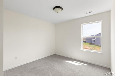 Tiny photo for 119 Day Lily Lane, Wentzville, MO 63385 (MLS # 25051505)