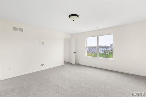 Tiny photo for 119 Day Lily Lane, Wentzville, MO 63385 (MLS # 25051505)