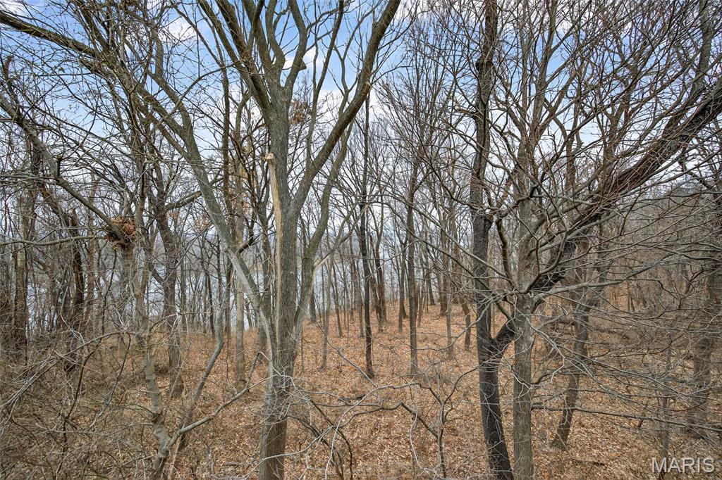 Royal Pines Condo 1 Second - Residential