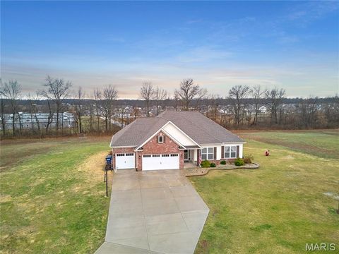 Photo of 60 Sycamore Grove Drive, Troy, MO 63379 (MLS # 26012139)
