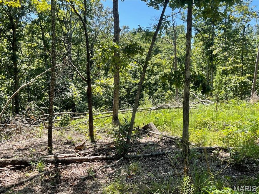 LOOKING FOR SOME EXCELLENT HUNTING PROPERTY OR LOOKING FOR SECLUSION AND PRIVACY?  This is it!  134 acres of wooded property that joins Missouri Conservation on the north side and National Forest on the east side.  Once you drive to the top you will be standing on Little Bear Mountain.  It is quite the view.  Timber was cut to 16 inches in the last 6 years.