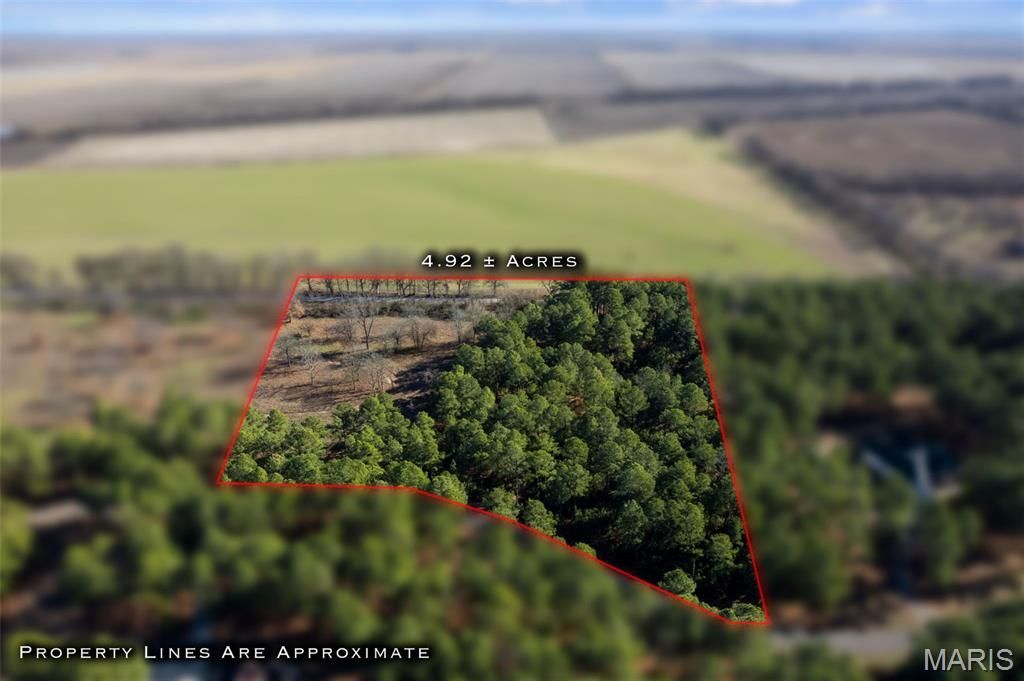 Photo of 27 Ridgeway Circle, Benton, MO 63736 (MLS # 26003286)