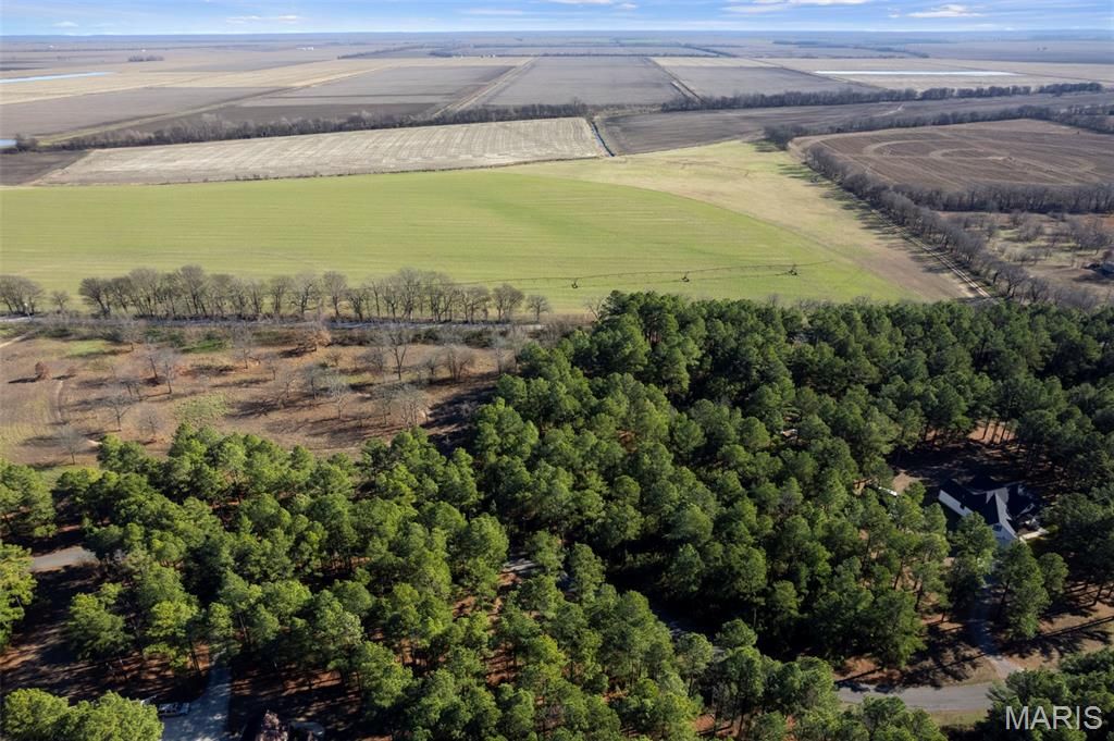 Photo of 27 Ridgeway Circle, Benton, MO 63736 (MLS # 26003286)