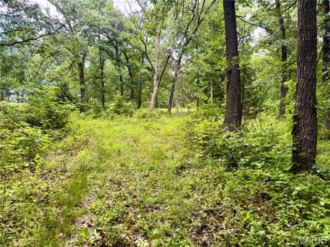 Tiny photo for 13628 Thornberry Rd. RD, New London, MO 63459 (MLS # 26038344)