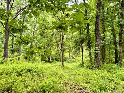 Tiny photo for 13628 Thornberry Rd. RD, New London, MO 63459 (MLS # 26038344)