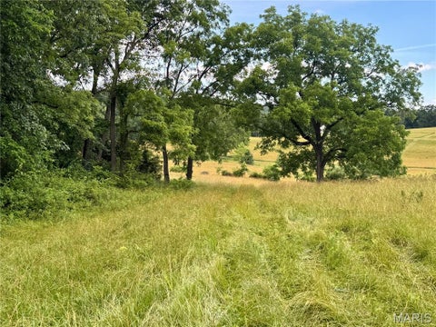 Tiny photo for 13628 Thornberry Rd. RD, New London, MO 63459 (MLS # 26038344)