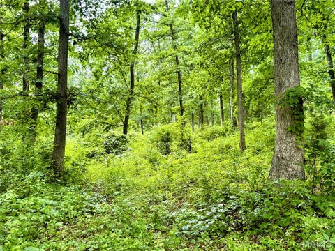 Tiny photo for 13628 Thornberry Rd. RD, New London, MO 63459 (MLS # 26038344)