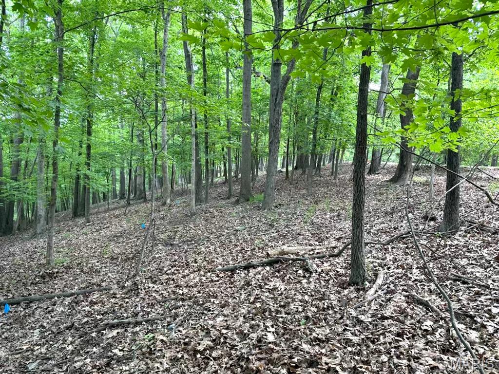 1513 Wolf Trail Road