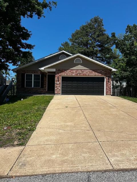Photo of 617 N 6th Street, Festus, MO 63028 (MLS # 26030389)