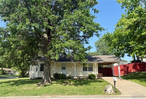 Photo of 1415 Cinnamon Hills Drive, St Peters, MO 63303 (MLS # 26030544)