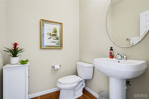 Tiny photo for 2377 Spring Mill Estates Drive, St Charles, MO 63303 (MLS # 26030211)