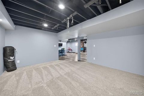 Tiny photo for 19 Wildoradoe Court, Troy, MO 63379 (MLS # 25065473)