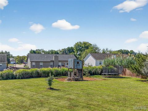 Tiny photo for 19 Wildoradoe Court, Troy, MO 63379 (MLS # 25065473)